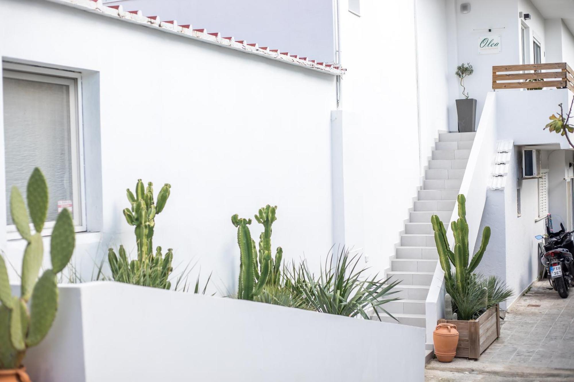 Olea Luxury Apartment Afantou Dış mekan fotoğraf