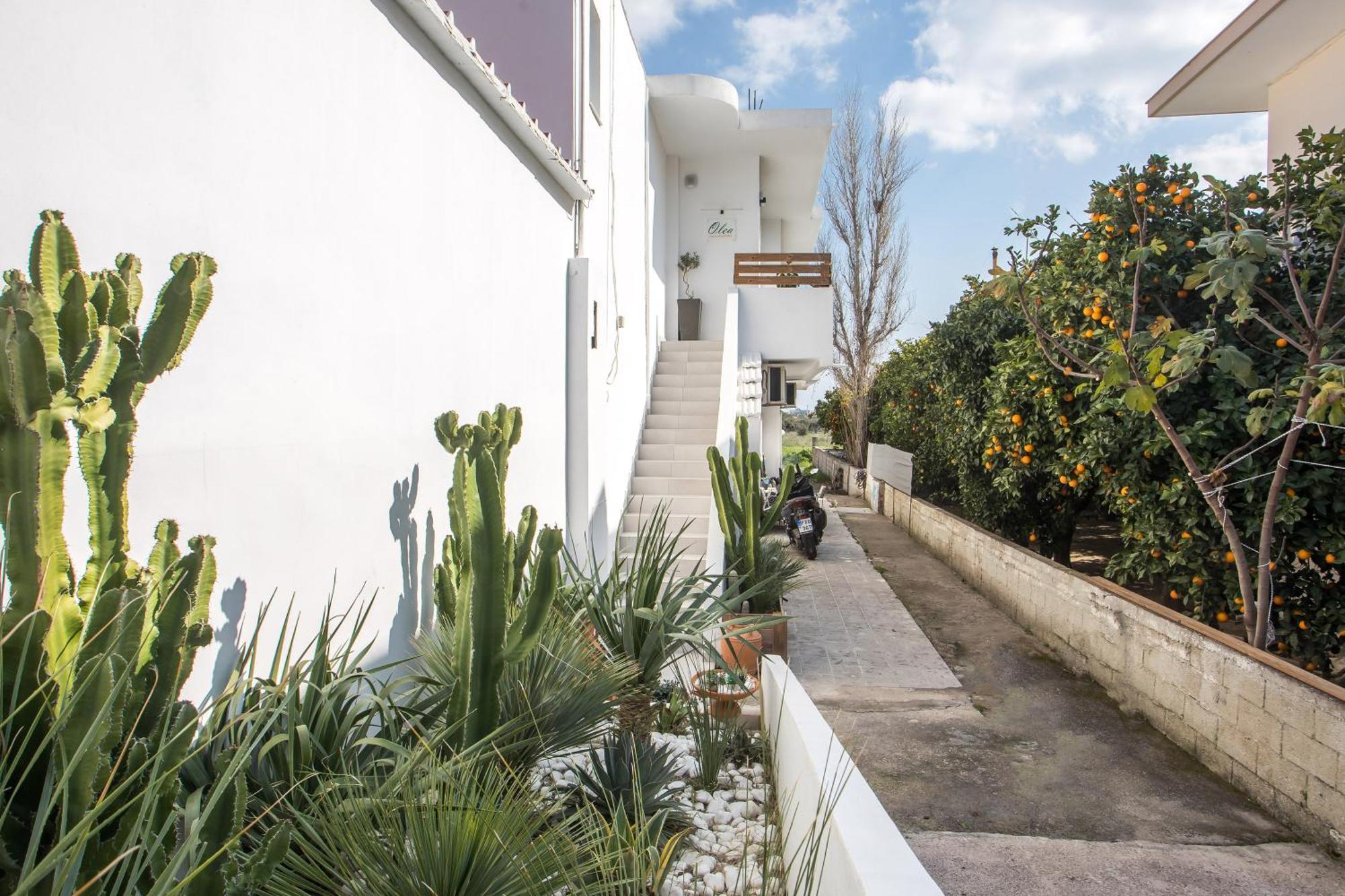Olea Luxury Apartment Afantou Dış mekan fotoğraf
